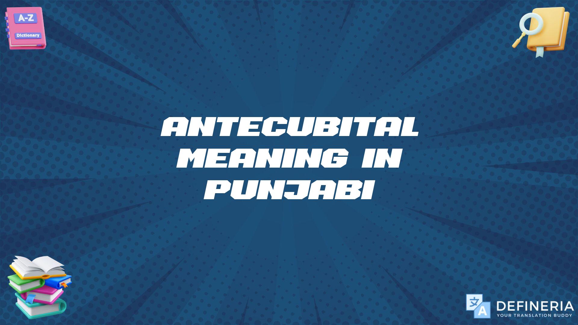 Antecubital Meaning In Punjabi