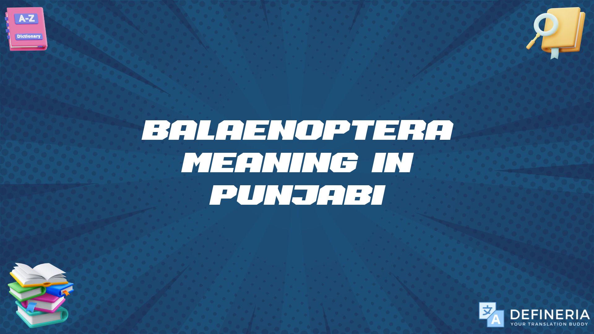 Balaenoptera Meaning In Punjabi